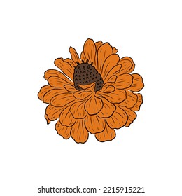 Retro Groovy Flower cynia. Botanical vintage flower. Design for social media, packaging, Print on T-Shirts, Cards. Floral clipart inspired by 70s and Groovy Hippy. Doodle vector illustration isolated.