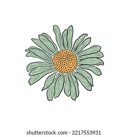 Retro Groovy Flower Daisy. Botanical vintage flower. Design for social media, packaging, Print on T-Shirts, Cards. Floral clipart inspired by 70s and Groovy Hippy. Doodle vector illustration isolated.