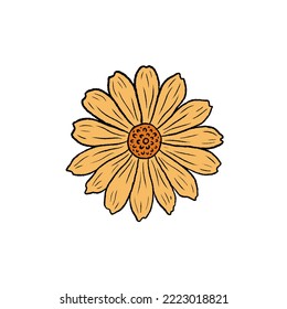 Retro Groovy Flower Daisy. Botanical vintage flower. Design for social media, packaging, Print on T-Shirts, Cards. Floral clipart inspired by 70s and Groovy Hippy. Doodle vector illustration isolated.