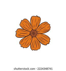 Retro Groovy Flower Daisy. Botanical vintage flower. Design for social media, packaging, Print on T-Shirts, Cards. Floral clipart inspired by 70s and Groovy Hippy. Doodle vector illustration isolated.