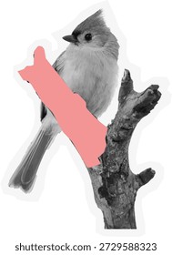 Retro halftone crested bird on branch sticker with tape and border