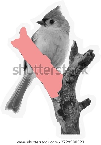Retro halftone crested bird on branch sticker with tape and border
