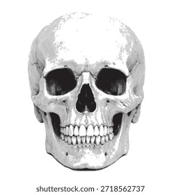 Meio-tom retro cabeça de crânio humano isolado em fundo branco. Gráfico de estilo de impressão anatômica vintage. Ilustração de caveira de padrão de ponto para projetos de design.