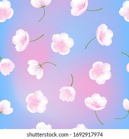 Muelle retro dibujado a mano realistas en flor rosa rosa cherry ilustración vectorial fondo transparente bajo cielo azul rosa, decoración de verano, plantas naturales, papel pintado, empaque