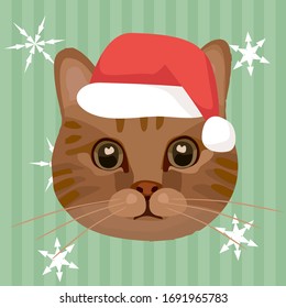 Retro hand drawn vector illustration of cat with red christmas hat, pet head sticker, cartoon cat, green striped background with snowflakes, packaging, print.