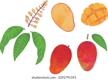 Conjunto de ilustraciones de mango dibujado a mano
