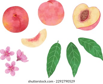 Retro hand-drawn peach illustration set
