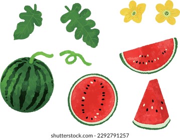 Retro hand-drawn watermelon illustration set
