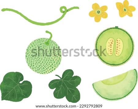 Retro hand-drawn watermelon illustration set

