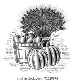 Retro harvest still life black and white. Vector