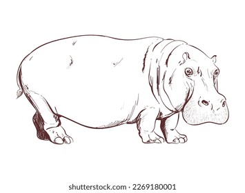 retro hippopotamus design over white
