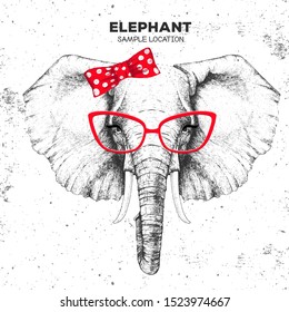 Retro Hipster animal elephant. Hand drawing Muzzle of animal elephant. Girl of 60s