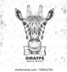 Retro Hipster animal giraffe. Hand drawing Muzzle of giraffe