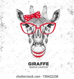 Retro Hipster animal giraffe. Hand drawing Muzzle of animal giraffe