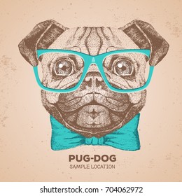 Retro Hipster animal pug-dog. Hand drawing Muzzle of pug-dog