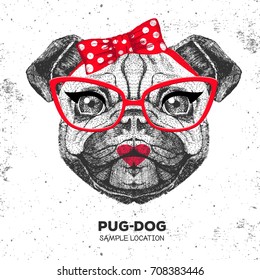 Retro Hipster animal pug-dog. Hand drawing Muzzle of animal  pug-dog. Girl of 60s