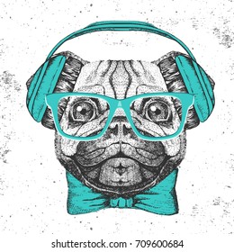 Retro Hipster animal pug-dog. Hand drawing Muzzle of pug-dog