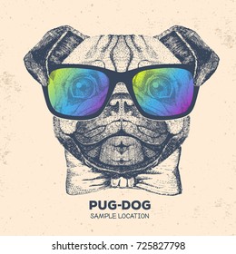Retro Hipster animal pug-dog. Hand drawing Muzzle of pug-dog