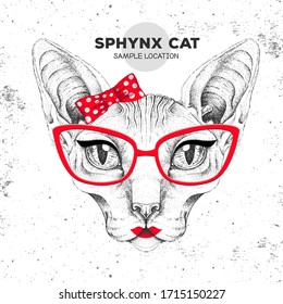 Retro Hipster animal sphynx cat. Hand drawing Muzzle of animal cat. Girl of 60s