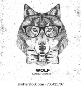 Retro Hipster animal wolf. Hand drawing Muzzle of wolf