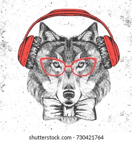 Retro Hipster animal wolf with headphones. Hand drawing Muzzle of wolf