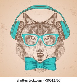 Retro Hipster animal wolf with headphones. Hand drawing Muzzle of wolf