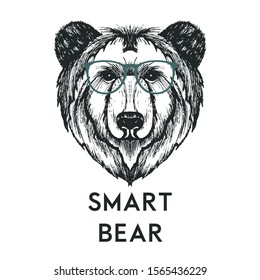 Retro Hipster Bear Animal Wearing Glasses Vector Illustration. Hand Drawn Muzzle of Wild Creature