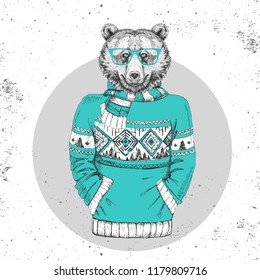 Retro Hipster fashion animal bear dressed up in pullover. Hipster animal