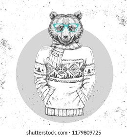 Retro Hipster fashion animal bear dressed up in pullover. Hipster animal