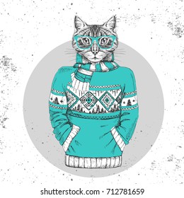 Retro Hipster fashion animal cat dressed up in pullover. Hipster animals