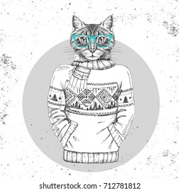 Retro Hipster fashion animal cat dressed up in pullover. Hipster animals