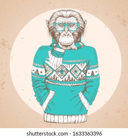 Retro Hipster fashion animal monkey dressed up in pullover.