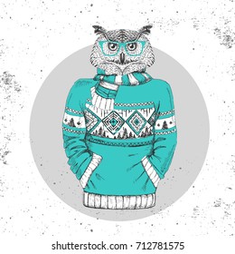 Retro Hipster fashion animal owl dressed up in pullover. Hipster animals