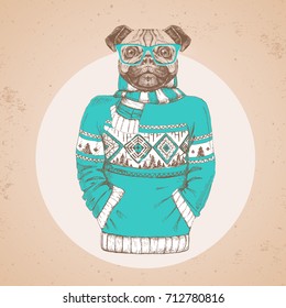 Retro Hipster fashion animal pug-dog dressed up in pullover. Hipster animals