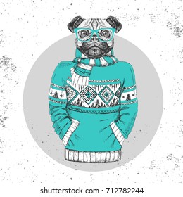 Retro Hipster fashion animal pug-dog dressed up in pullover. Hipster animals