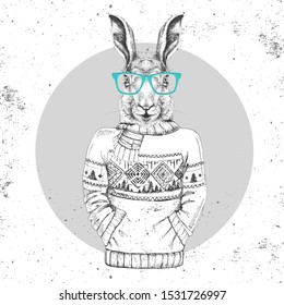 Retro Hipster fashion animal rabbit dressed up in pullover.