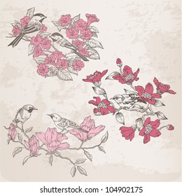 Retro Illustrations - Flowers and  Birds - for design and scrapbook in vector