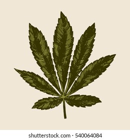retro indica drawing. marijuana leaf etching.