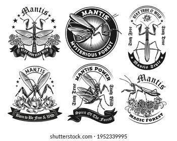 Retro label designs with mantis vector illustration set. Vintage badges with flying predator bug. Insects and fauna concept can be used for retro template, banner or poster