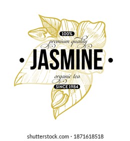 retro label or emblem of jasmine organic tea. Healthy product of premium quality, Ingredient with calligraphic inscription. Herbal aromatic beverage. Sketch outline label with inscription, vector