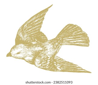 Dibujo de línea retro de un pájaro parpadeante