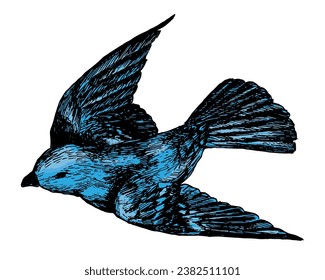 Retro line drawing of a flapping bird