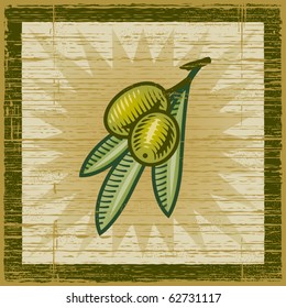 Retro olive branch. Vector