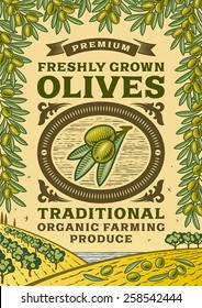 Retro olives poster. Fully editable vector illustration with clipping mask.