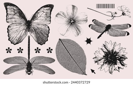 Efecto fotocopia retro verano de la colección de elementos de la naturaleza. Cabezas de flores silvestres, mariposa, libélula con grunge punk textura desordenada. Ilustración vectorial estética y2k de moda.