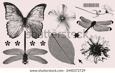 Retro photocopy effect summer nature elements collection. Wild flowers heads, butterfly, dragonfly with grunge punk messy texture. Trendy y2k aesthetic vector illustration.