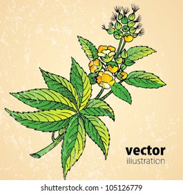 Retro plant vector drawing