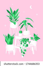 Afiche retro con plantas domésticas. Crea confort y decora el interior. Ilustración vectorial con la adición de ruido en estilo vintage.