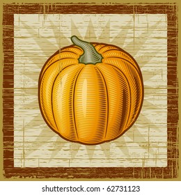 Retro pumpkin. Vector