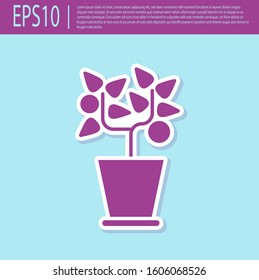 Retro purple Plant in pot icon isolated on turquoise background. Plant growing in a pot. Potted plant sign.  Vector Illustration